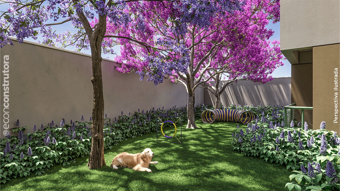 Foto 4 do Tee Marajoara