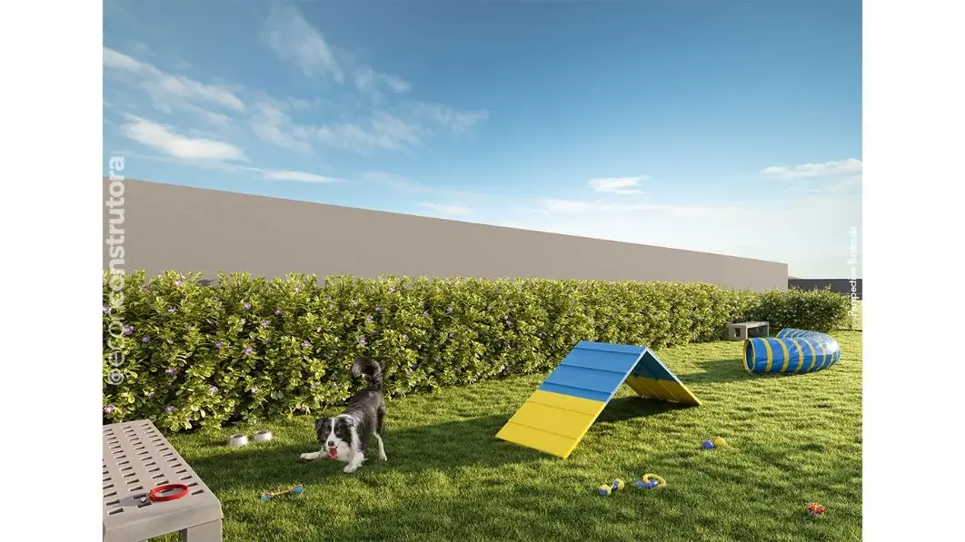 Foto 3 do Win - Ibitirama