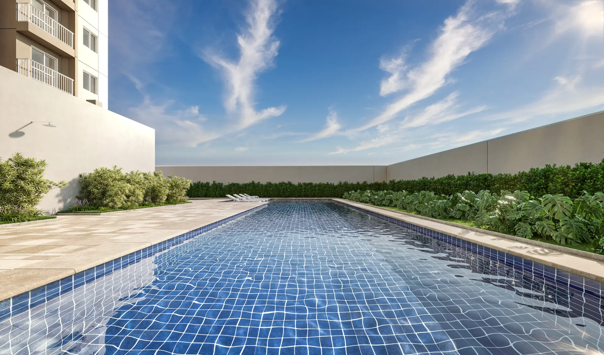 Foto 3 do Flow - Limão