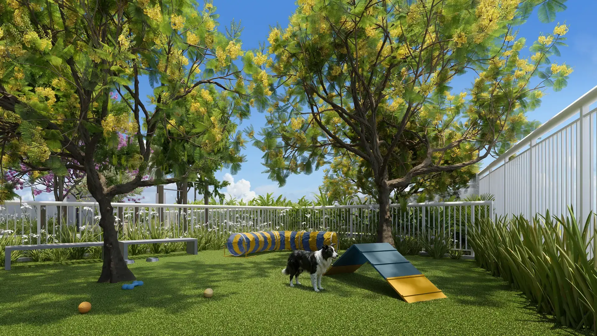 Foto 3 do Free - Liberdade