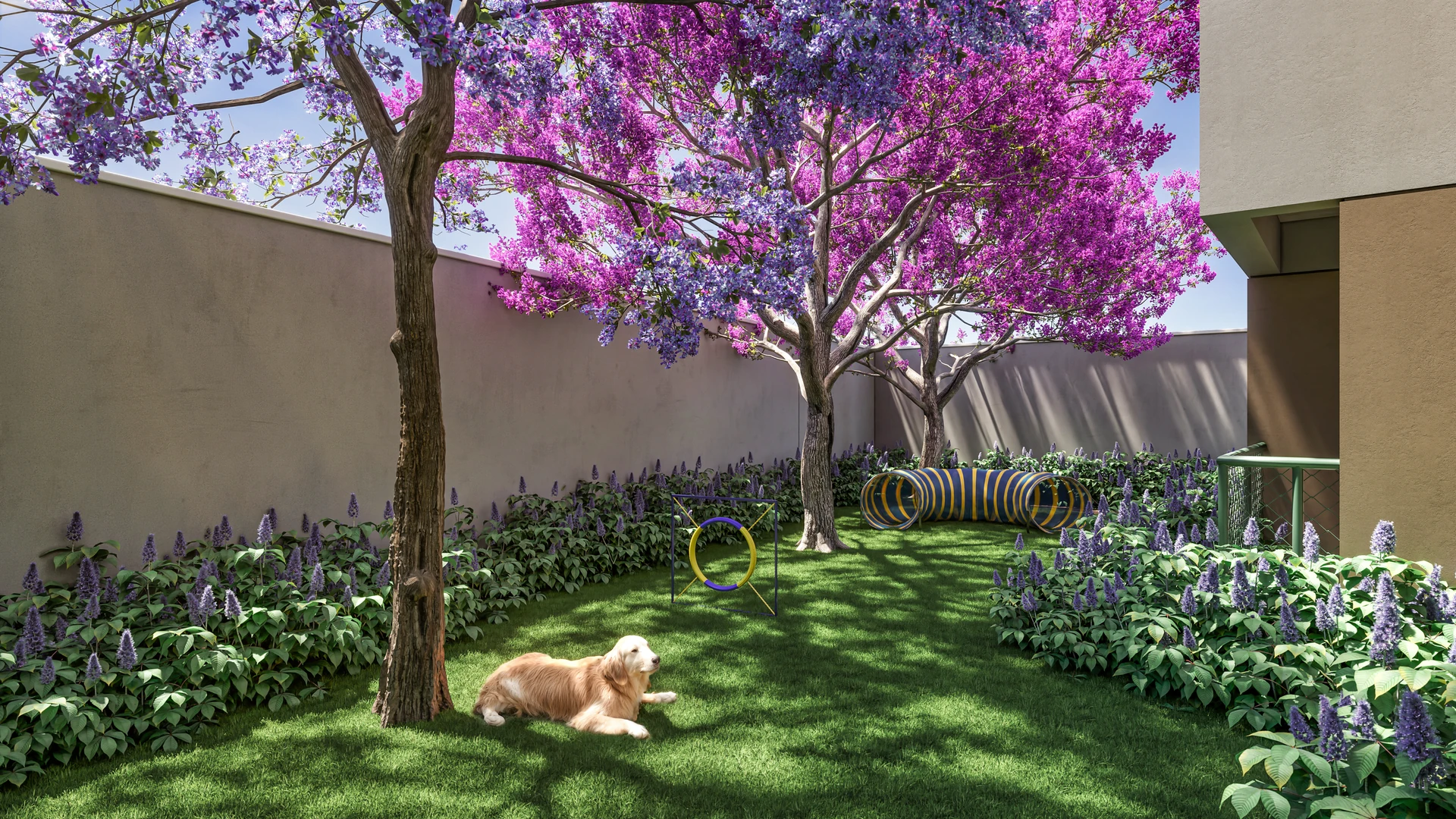 Foto 1 do Tee Marajoara